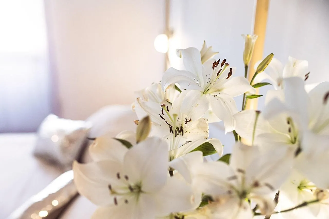 Hotel Nord Boutique エステジェンクス スペイン